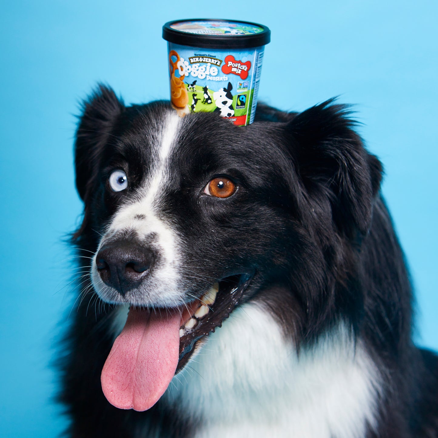 Doggie Desserts Pontch's Mix Peanut Butter & Pretzel 4oz