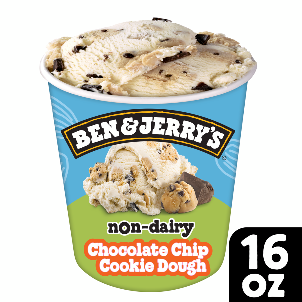 Non-Dairy Chocolate Chip Cookie Dough Frozen Dessert 16 oz