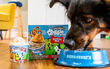 Ben & Jerry's — For Dogs! Browse Flavors Now
